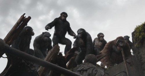 dawn-of-the-planet-of-the-apes-01