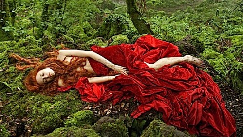 Fairy tale beauty
