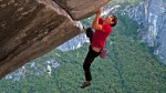 frreHonnold